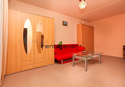 Pronájem bytu, Háje, Schulhoffova, byt 1+kk, 30 m2, sklep, výtah, kompletně zařízený nábytkem, Rent4Ever.cz