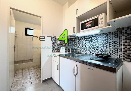 Pronájem bytu,  Braník, Ve studeném, byt 1+kk v RD, 25 m2, cihla, zařízený nábytkem, Rent4Ever.cz