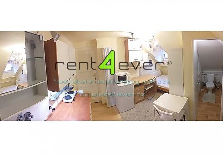 Pronájem bytu, Petrovice, Edisonova, atypický půdní byt 1+kk v RD, 22 m2, vybavený nábytkem, Rent4Ever.cz