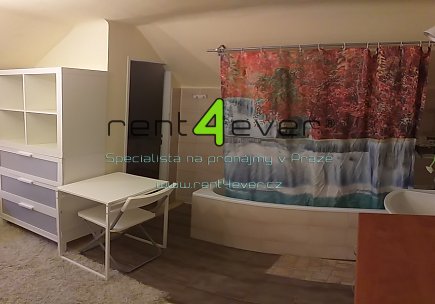 Pronájem bytu, Petrovice, Edisonova, atypický půdní byt 1+kk v RD, 22 m2, vybavený nábytkem, Rent4Ever.cz