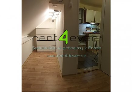 Pronájem bytu, Petrovice, Edisonova, atypický půdní byt 1+kk v RD, 22 m2, vybavený nábytkem, Rent4Ever.cz