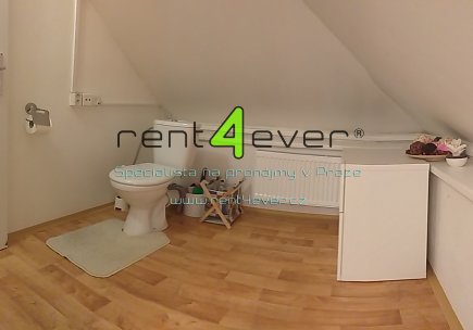 Pronájem bytu, Petrovice, Edisonova, atypický půdní byt 1+kk v RD, 22 m2, vybavený nábytkem, Rent4Ever.cz