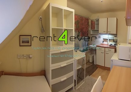 Pronájem bytu, Petrovice, Edisonova, atypický půdní byt 1+kk v RD, 22 m2, vybavený nábytkem, Rent4Ever.cz