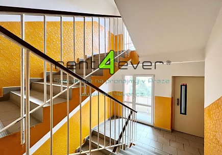 Pronájem bytu, Vokovice, Alžírská, 2+1, 55 m2, po kompletní rekonstrukci, sklep, společná lodžie, Rent4Ever.cz